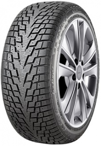 gt_radial_champiro_icepro_3