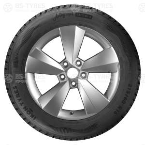 Ikon (Nokian Tyres) Autograph Snow C3 225/75 R16C 121/120R