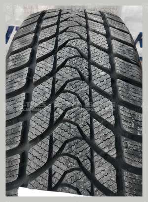 Delinte Winter WD1 195/60 R15 88H