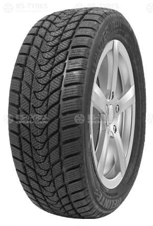 Delinte Winter WD1 195/60 R15 88H