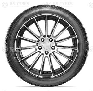 Doublestar DW02 255/45 R20 105T