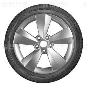 Ikon (Nokian Tyres) Character Snow 2 (Nordman RS2) SUV 215/70 R16 100R