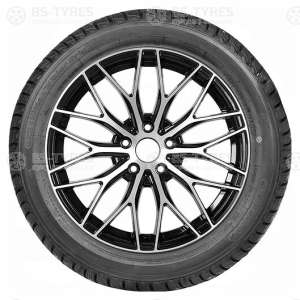 LingLong Green-Max Winter Grip 205/55 R16 94T