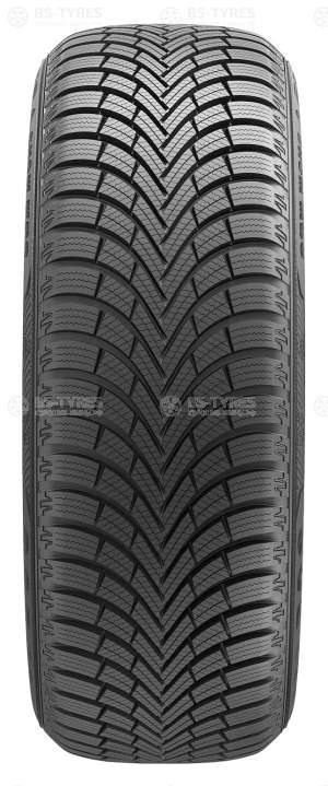 Maxxis WP6 Premitra Snow 205/55 R16 91H