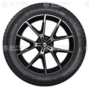 Triangle Snow PL01 225/55 R16 99R